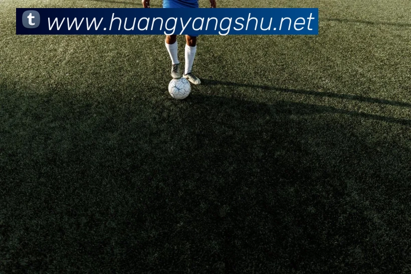 奖项证书